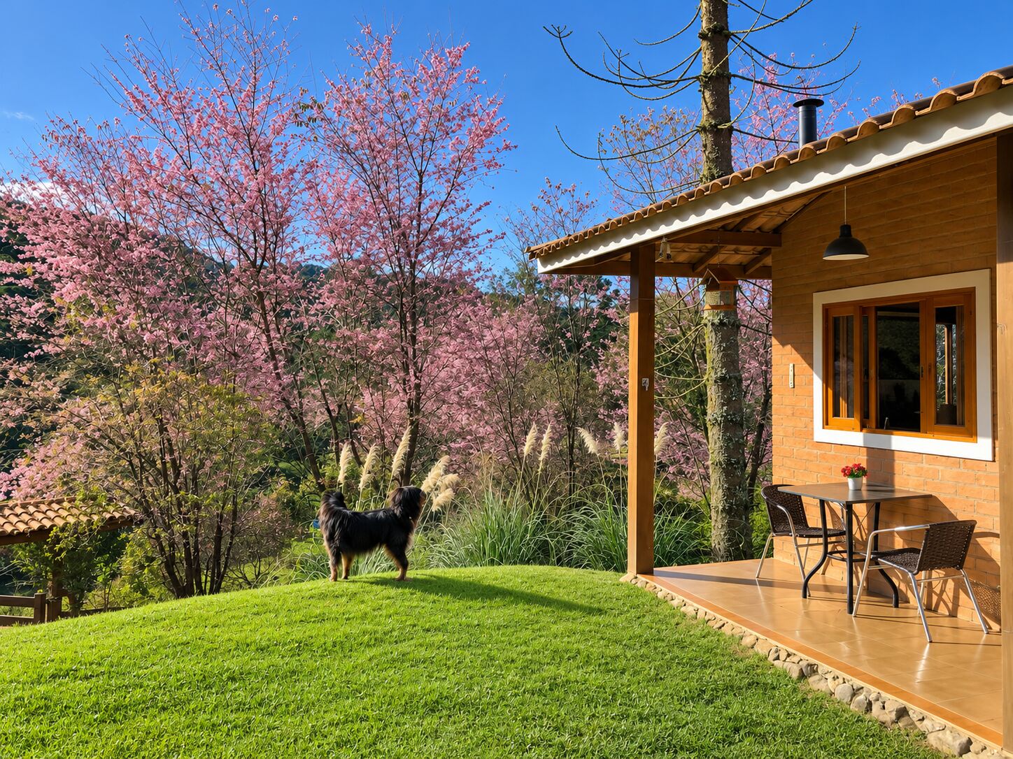 Casa, 2 quartos, 580 m² - Foto 4