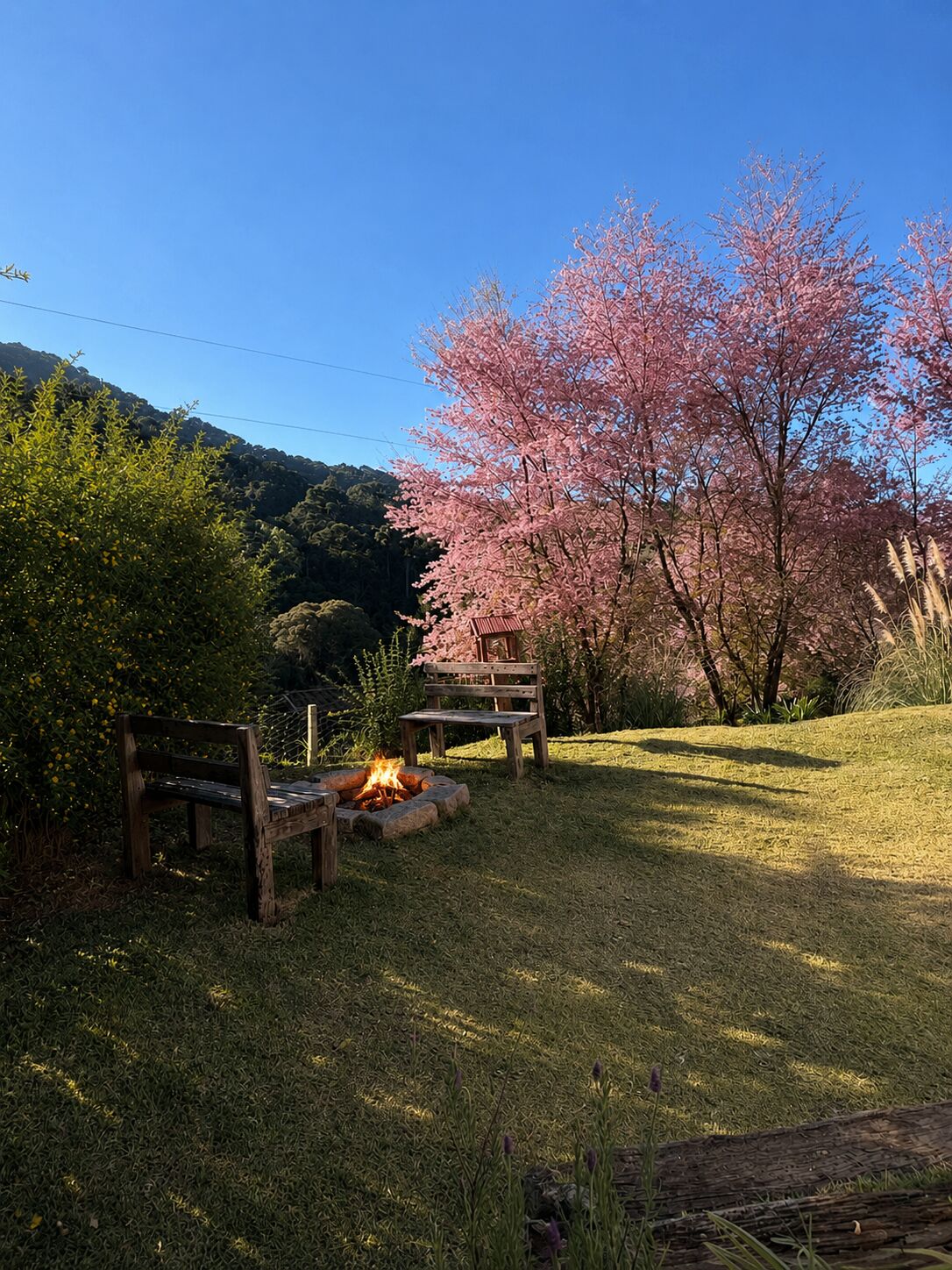 Casa, 2 quartos, 580 m² - Foto 8
