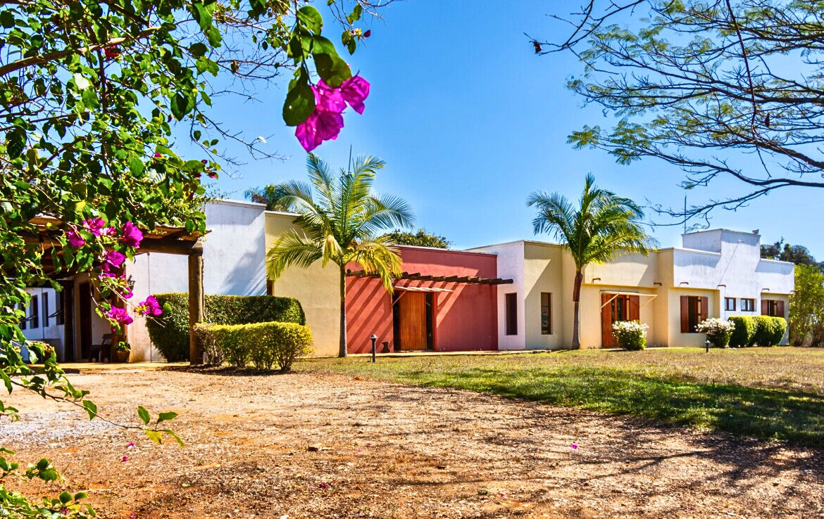 Chácara, 7 quartos, 35 hectares - Foto 9