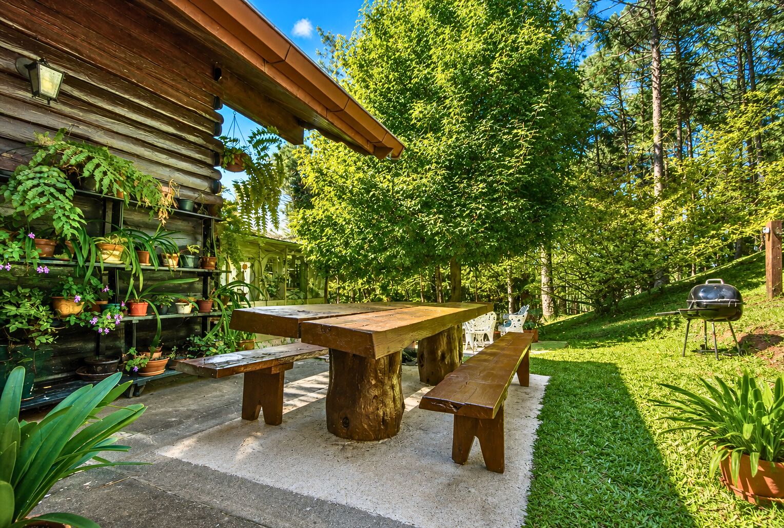 Chácara, 3 quartos, 8 hectares - Foto 2