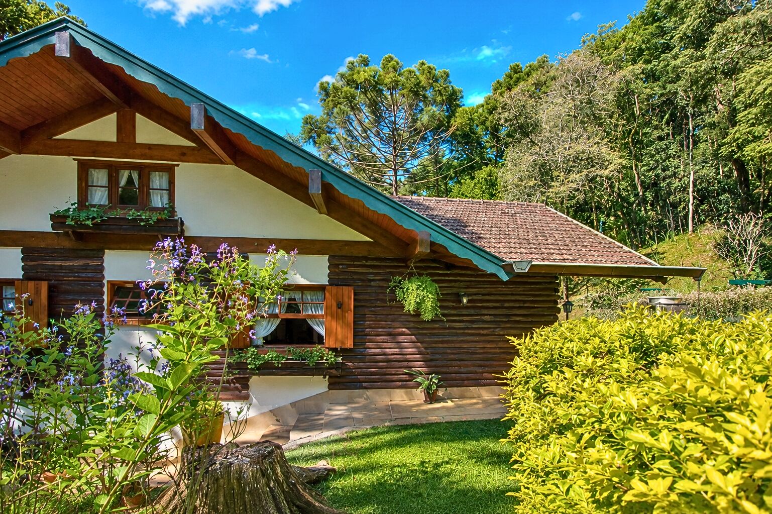 Chácara, 3 quartos, 8 hectares - Foto 16