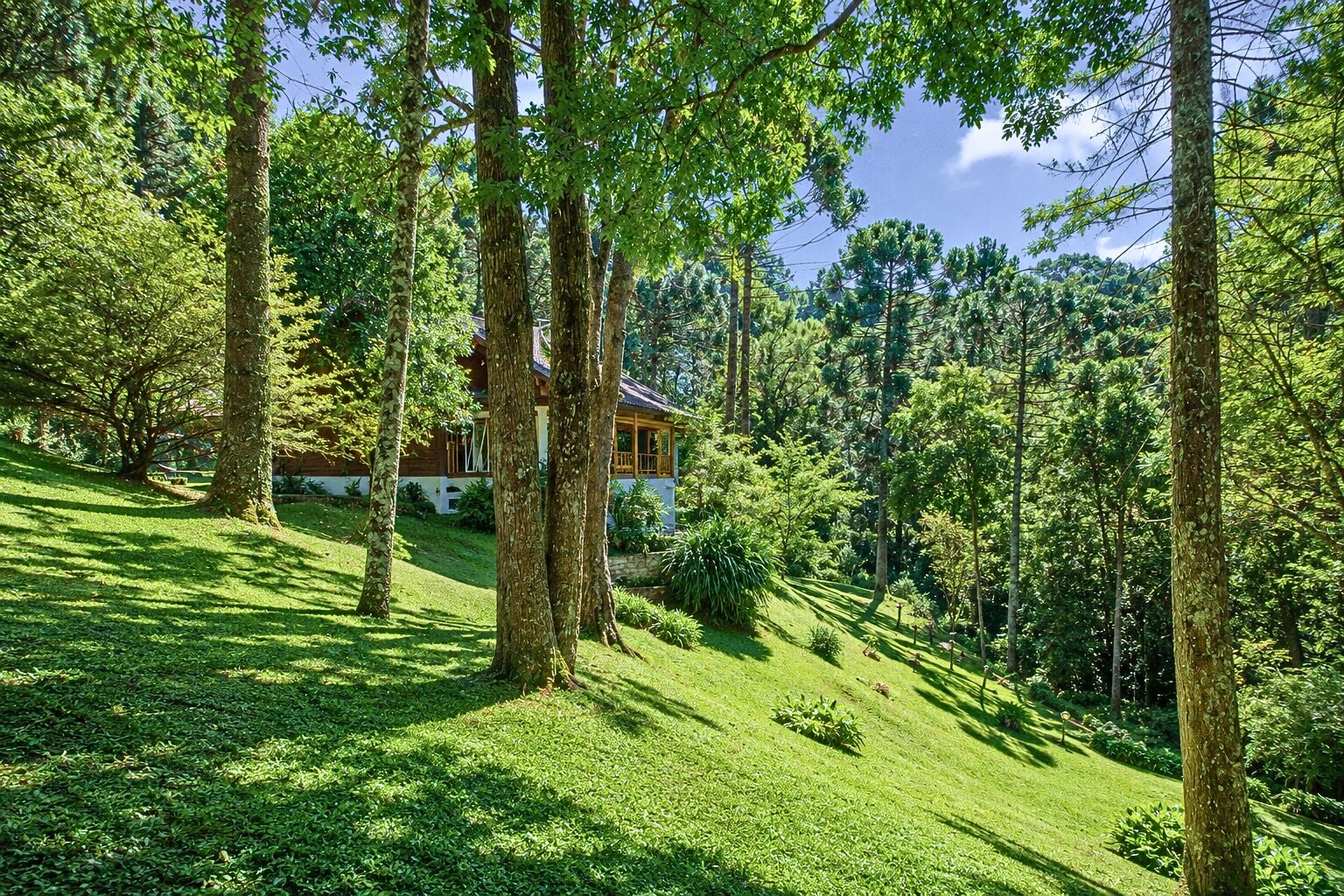Chácara, 3 quartos, 8 hectares - Foto 14