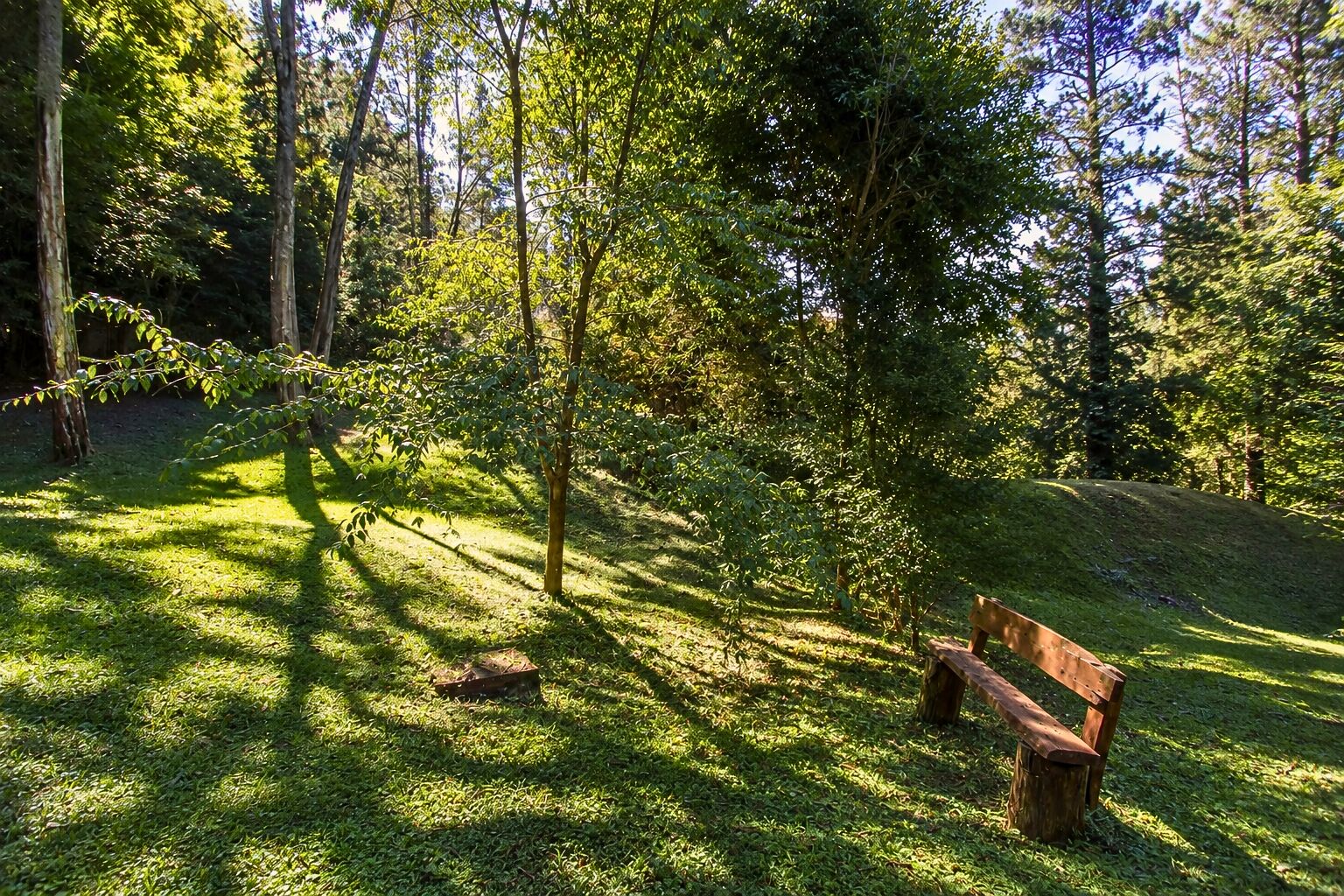Chácara, 3 quartos, 8 hectares - Foto 15