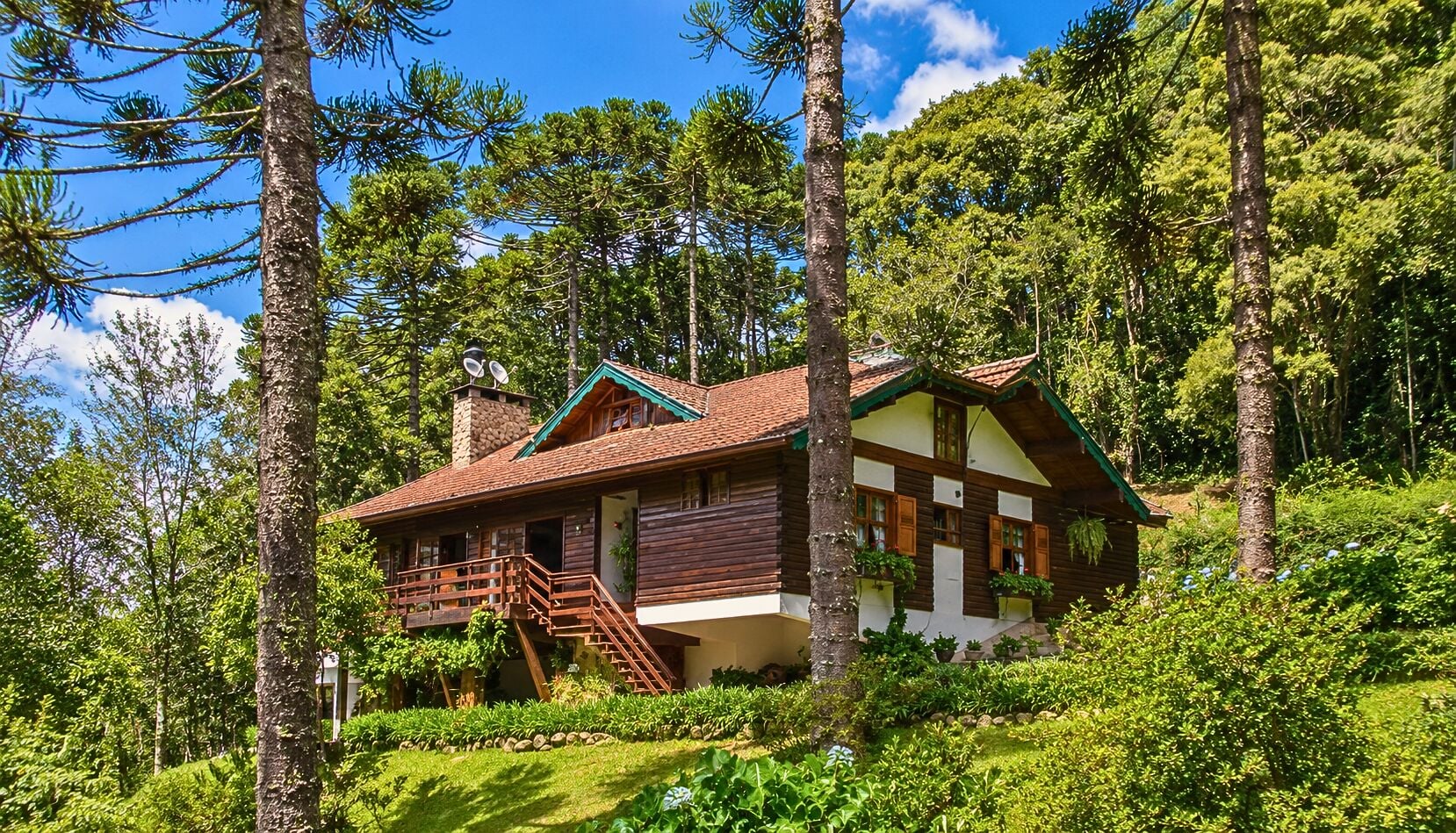Chácara, 3 quartos, 8 hectares - Foto 3