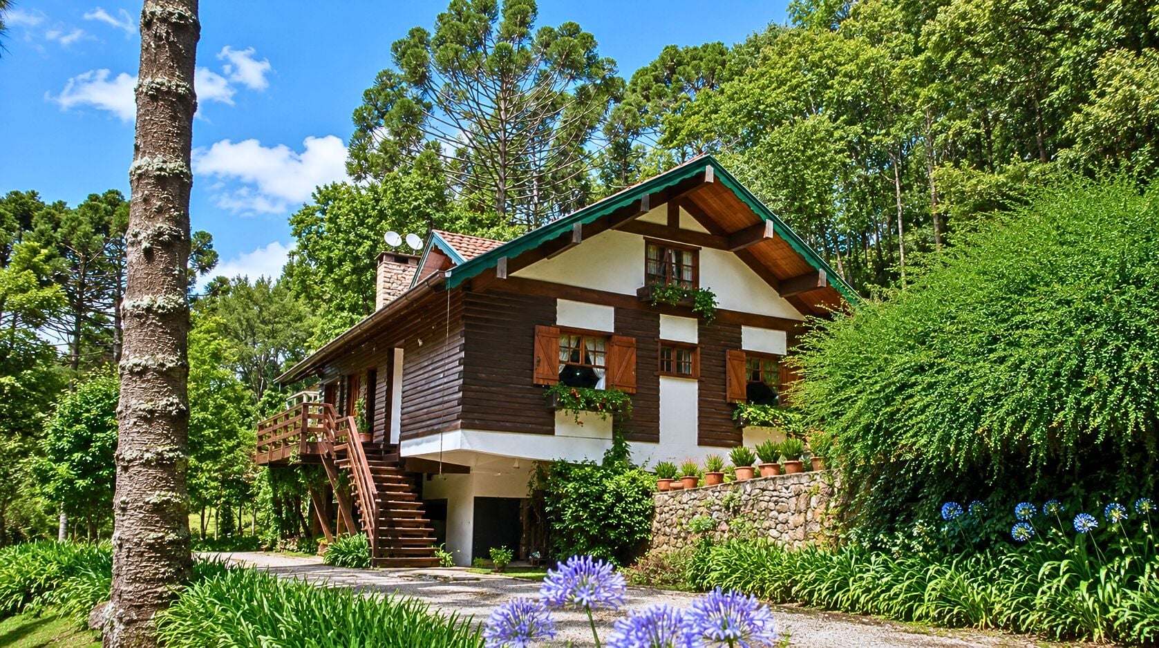 Chácara, 3 quartos, 8 hectares - Foto 1