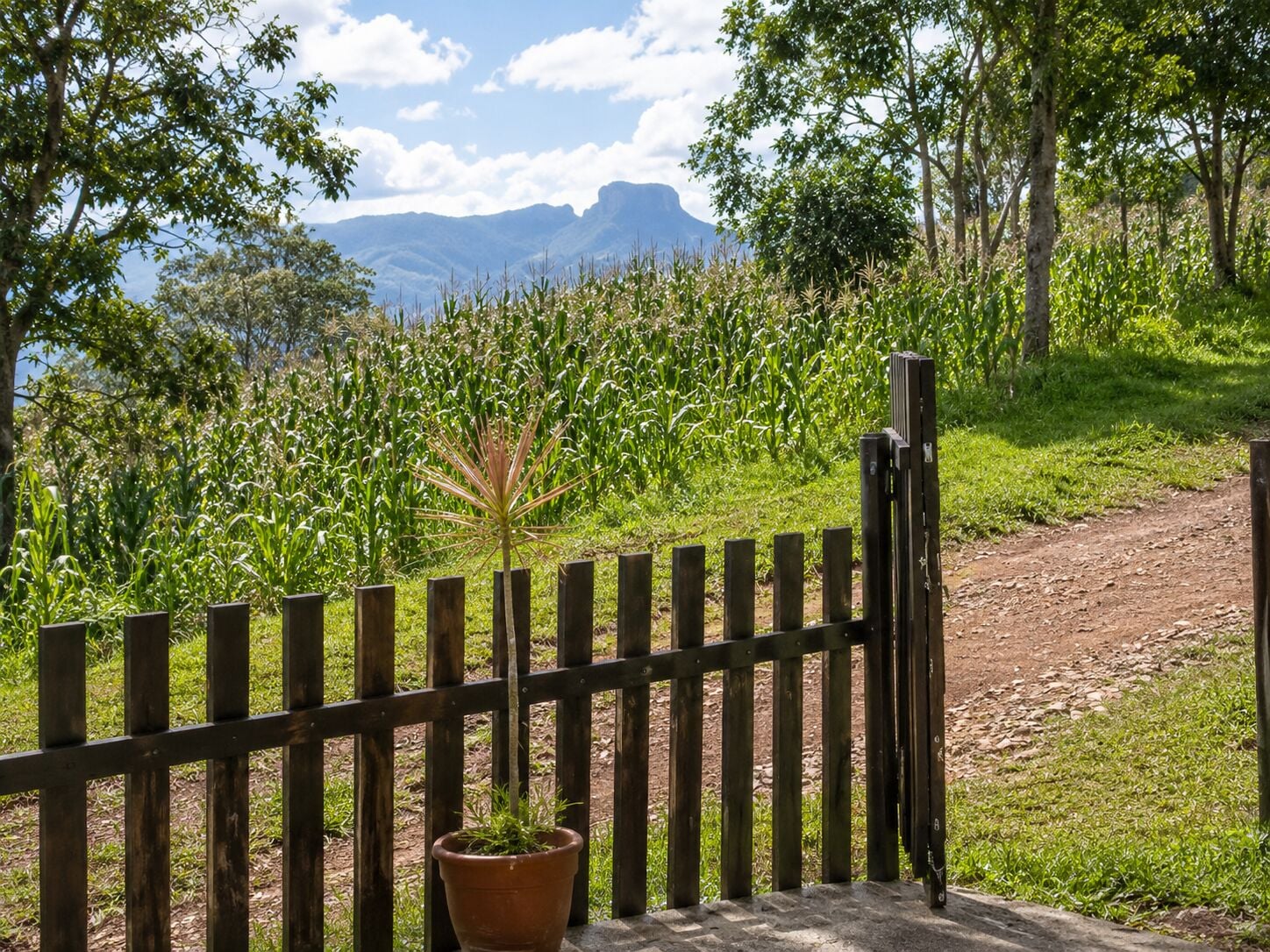 Casa, 1 quarto - Foto 4
