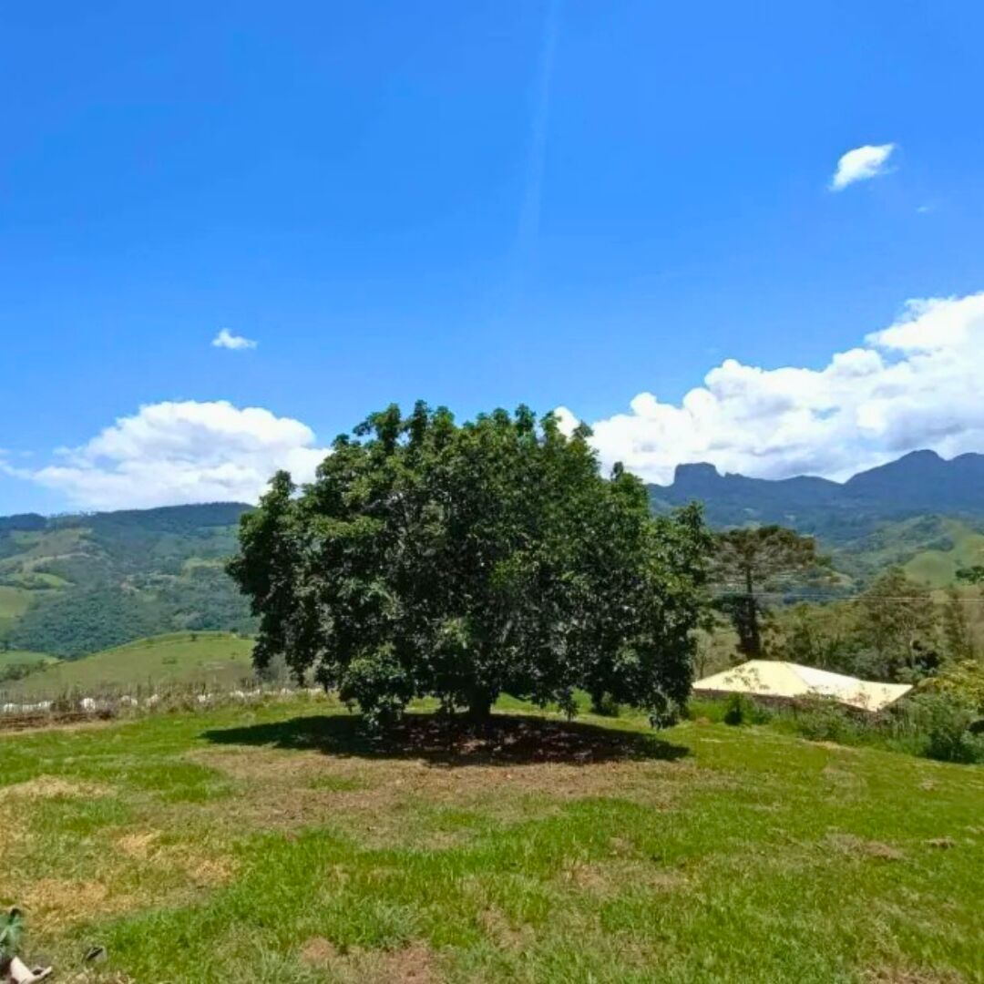 Chácara, 3 quartos, 5000 m² - Foto 19