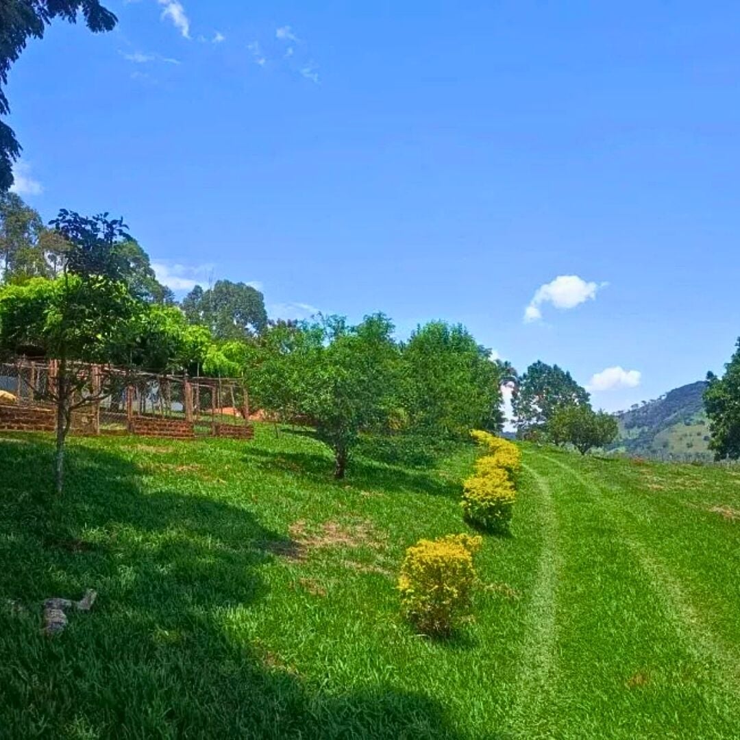 Chácara, 3 quartos, 5000 m² - Foto 4