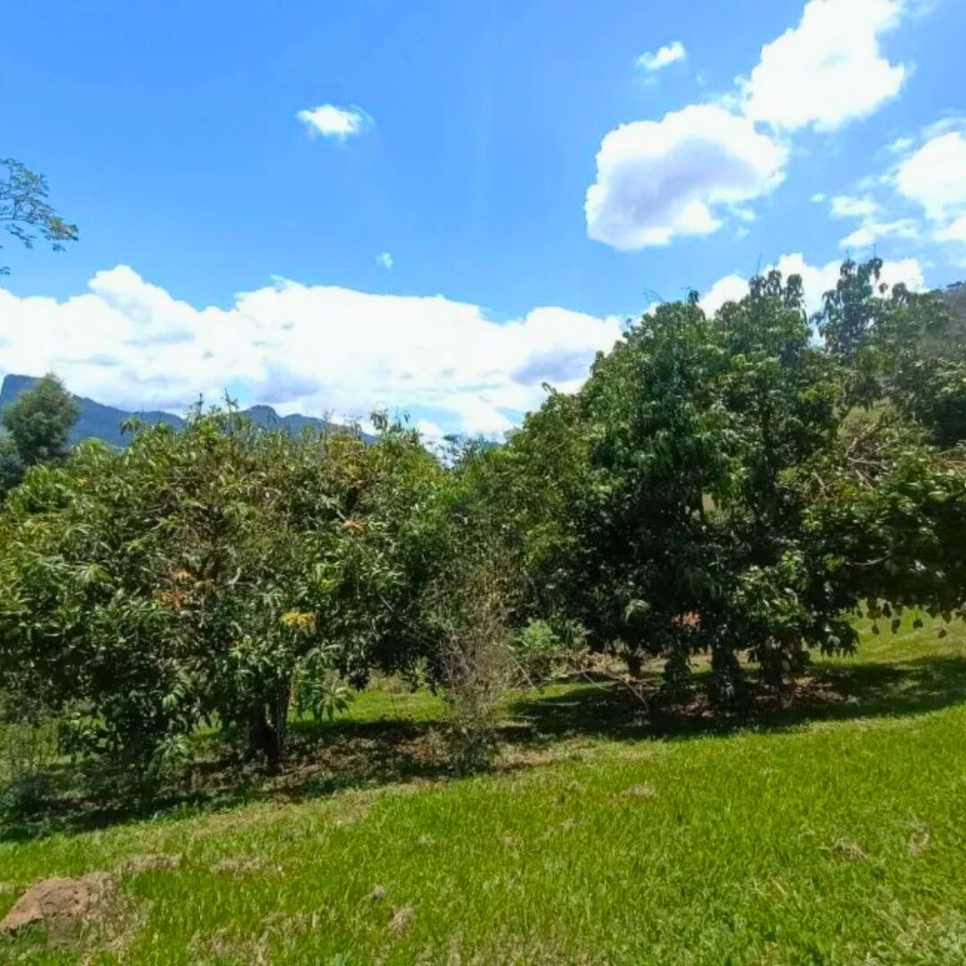 Chácara, 3 quartos, 5000 m² - Foto 23