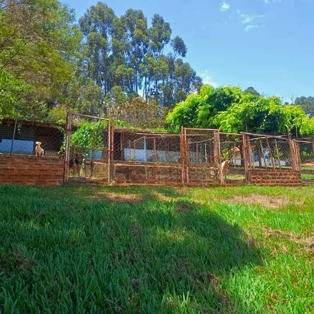 Chácara, 3 quartos, 5000 m² - Foto 33