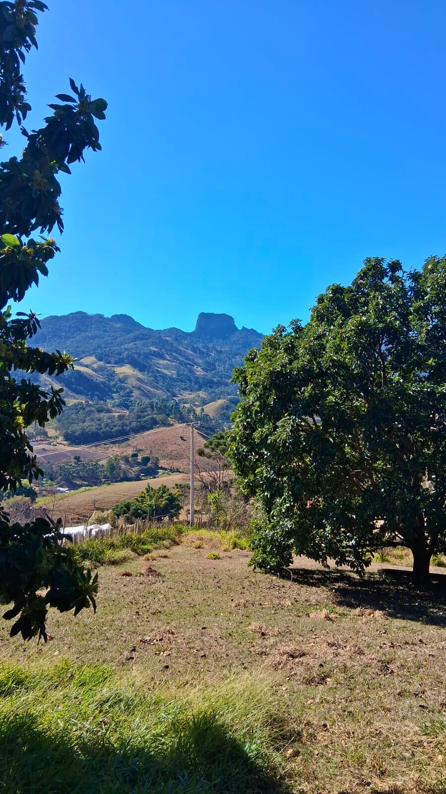 Chácara, 3 quartos, 5000 m² - Foto 6