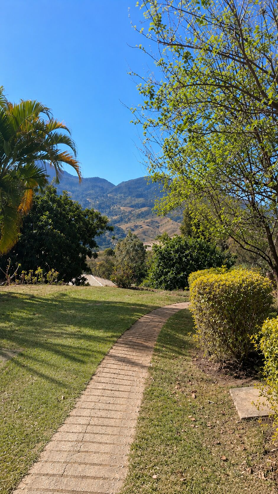 Chácara, 3 quartos, 5000 m² - Foto 29