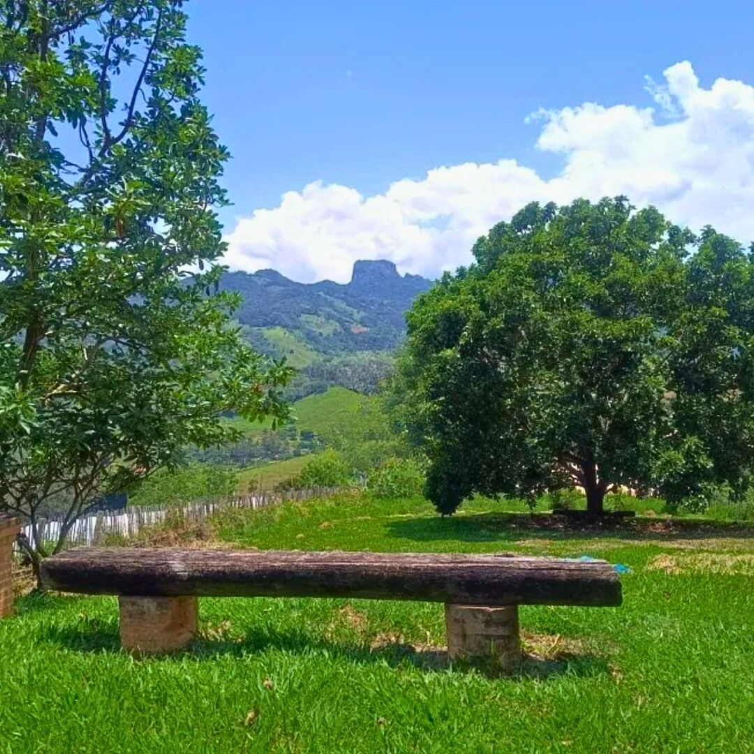 Chácara, 3 quartos, 5000 m² - Foto 10