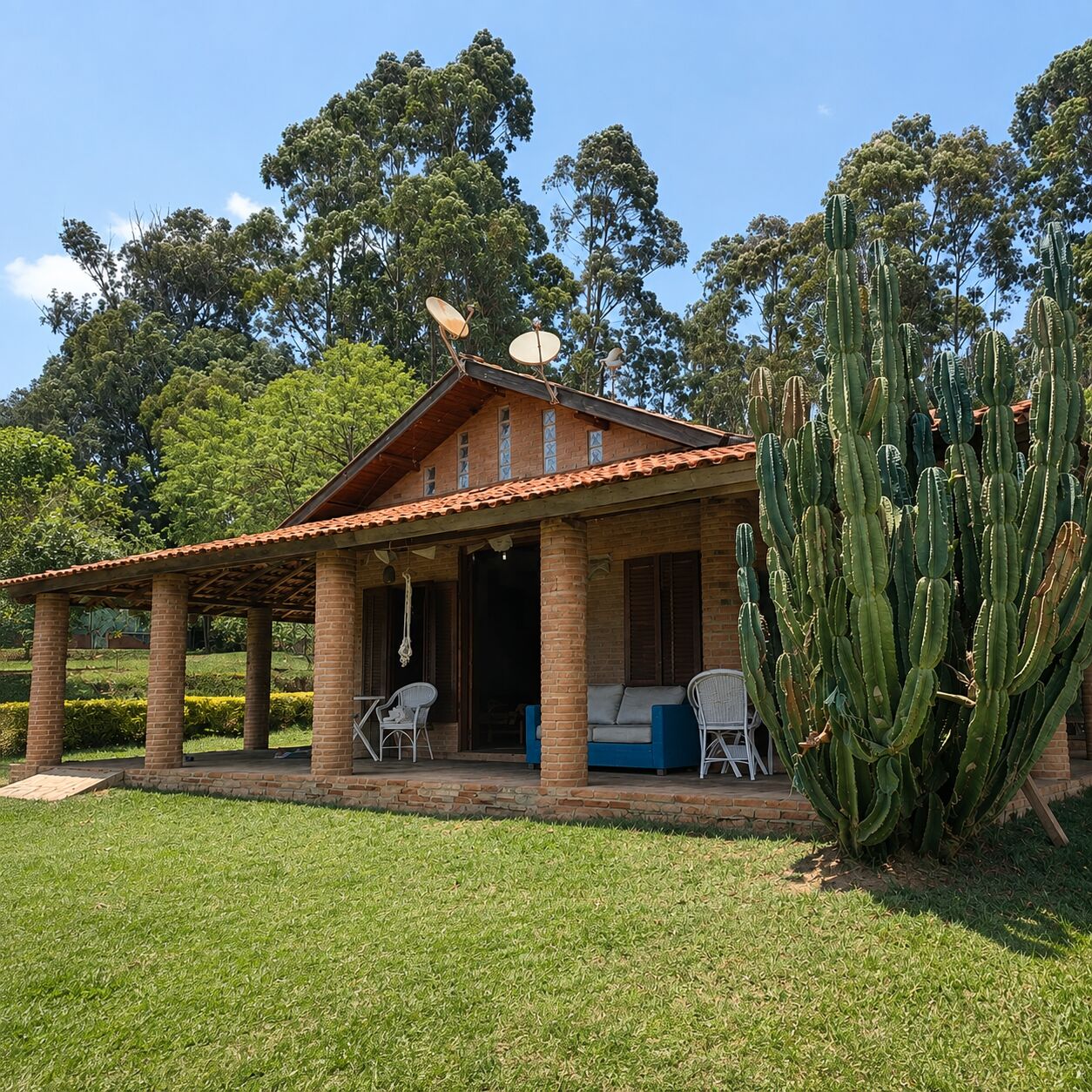 Chácara, 3 quartos, 5000 m² - Foto 7
