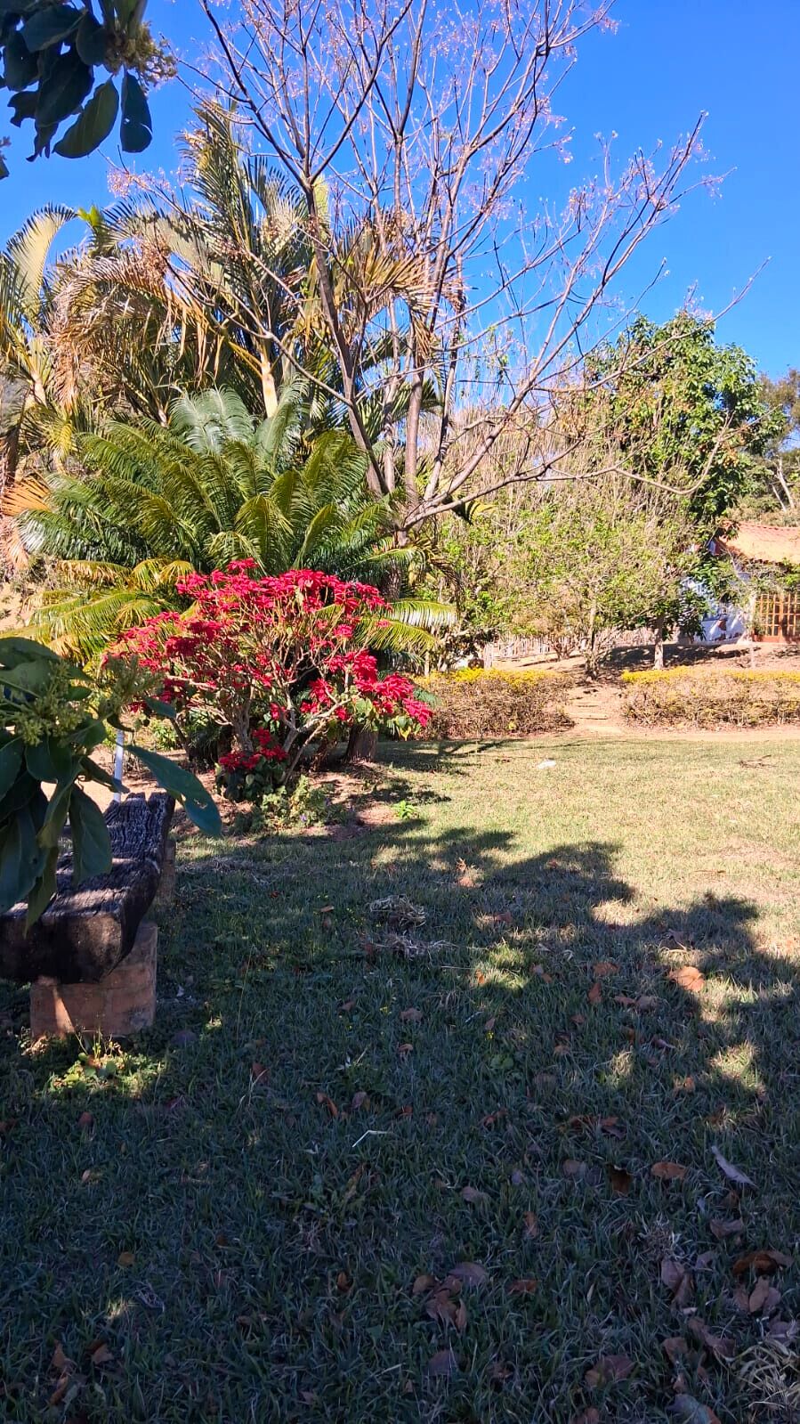 Chácara, 3 quartos, 5000 m² - Foto 22