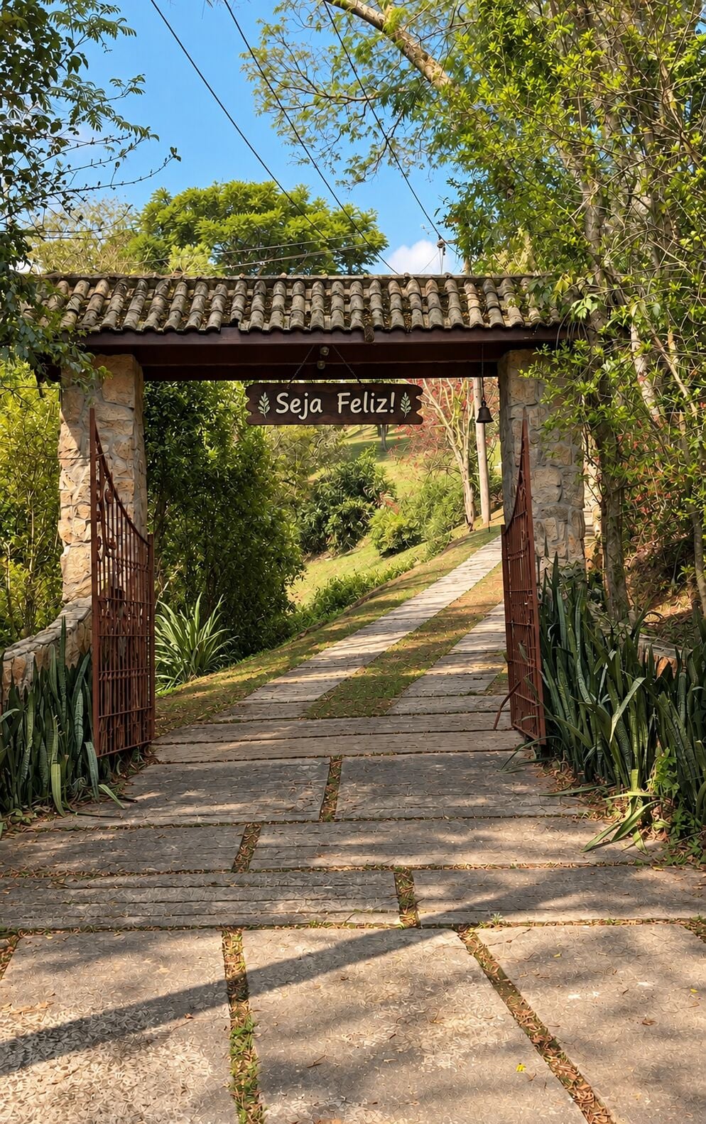 Chácara, 4 quartos, 3 hectares - Foto 9