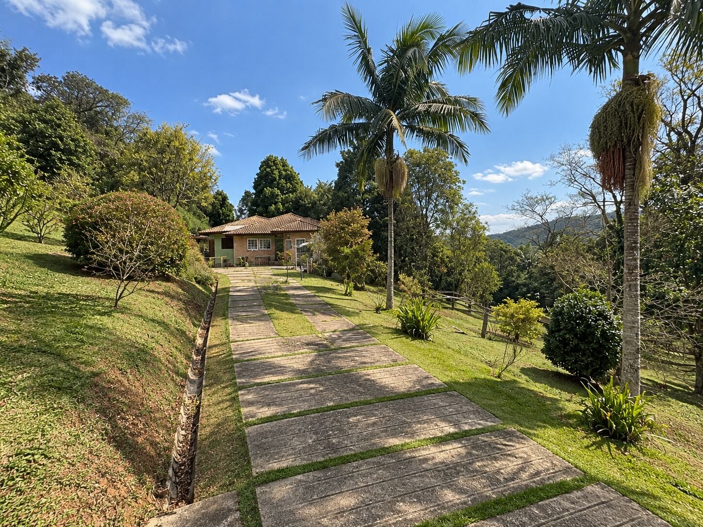Chácara, 4 quartos, 3 hectares - Foto 6