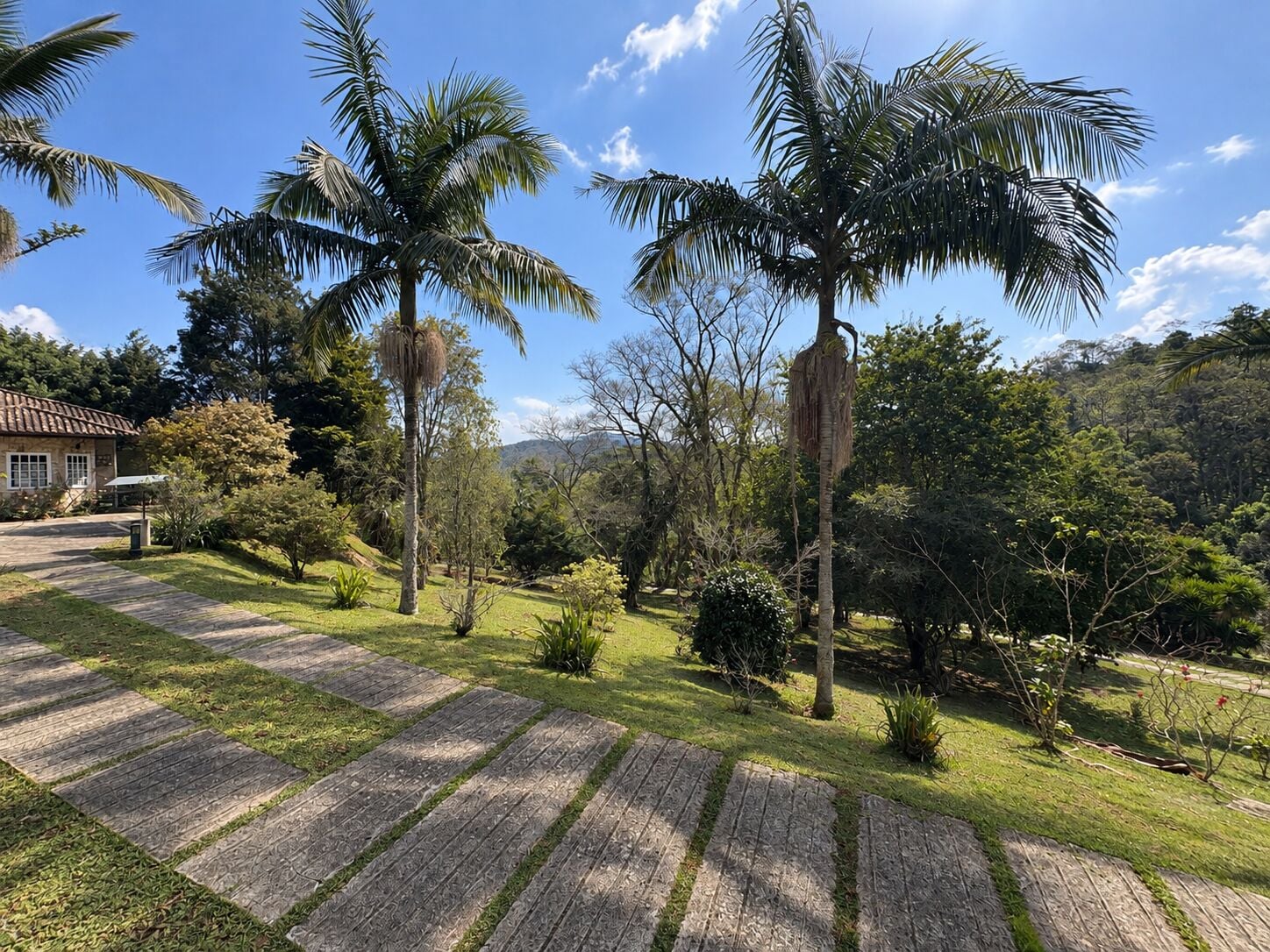 Chácara, 4 quartos, 3 hectares - Foto 8