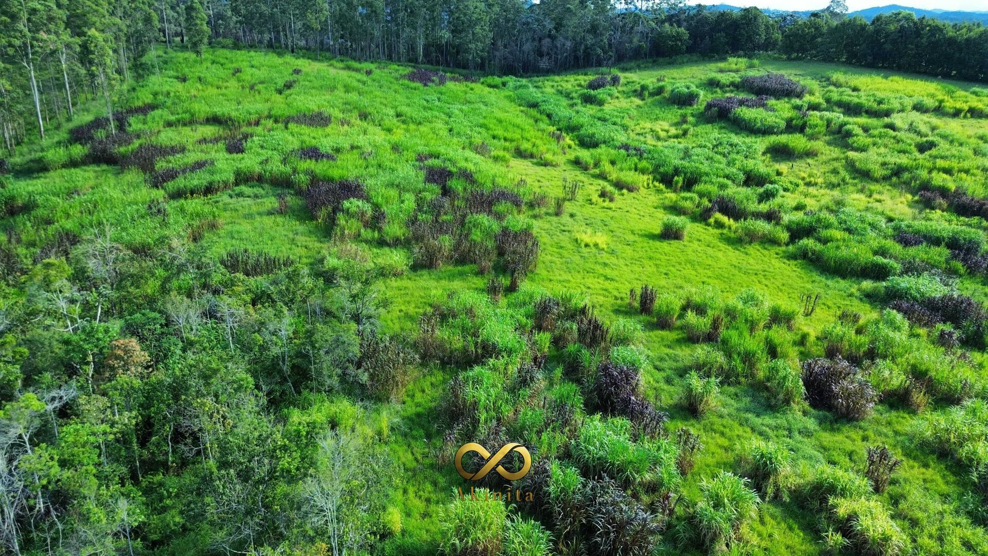 Terreno à venda com 75000m² de terreno no Taiacupeba, Mogi das Cruzes (SP) — foto 4 de 8