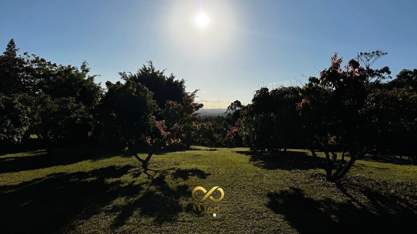 Rural à venda com 36000m² de terreno no Jardim Aracy, Mogi das Cruzes (SP) — foto 6 de 20