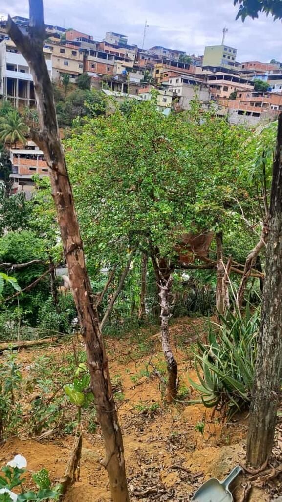 Imagem principal do imóvel
