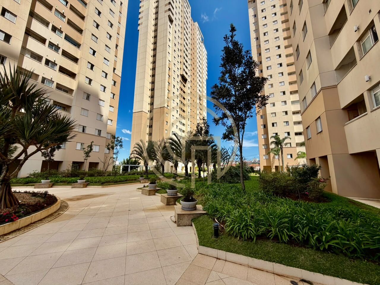 Apartamento, 3 quartos, 75 m² - Foto 26