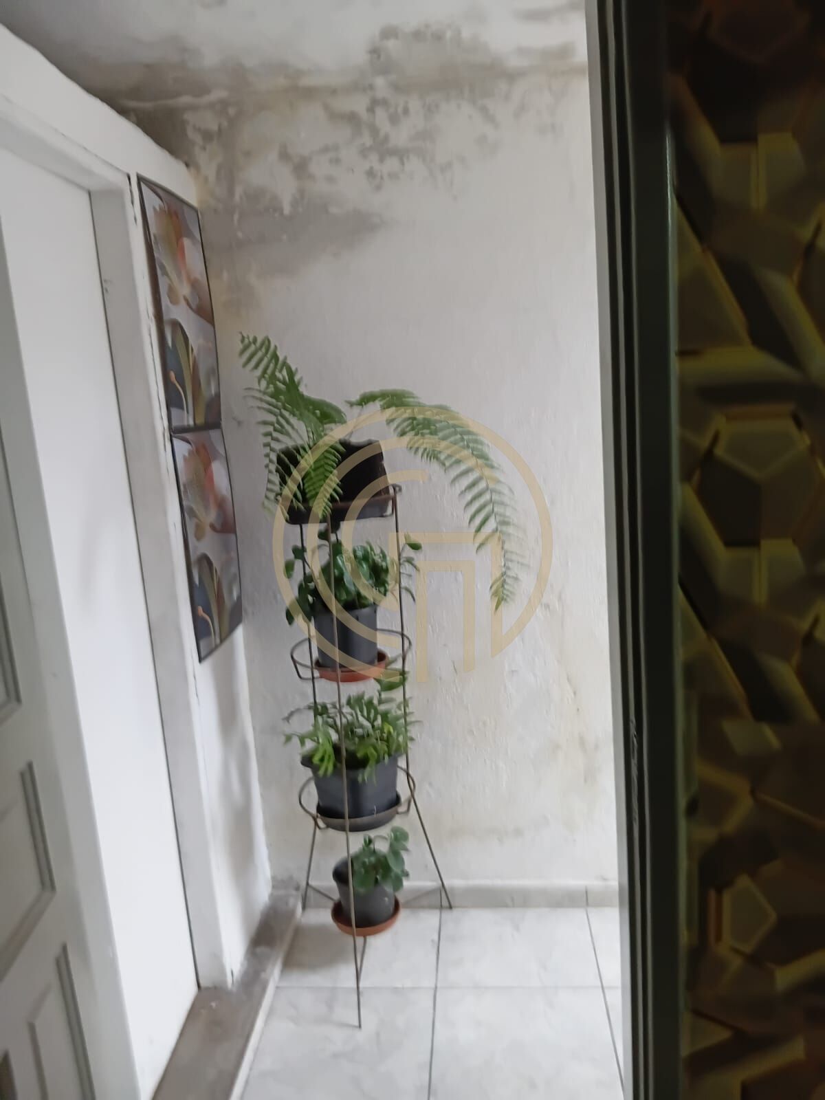 Loja-Salão, 60 m² - Foto 17