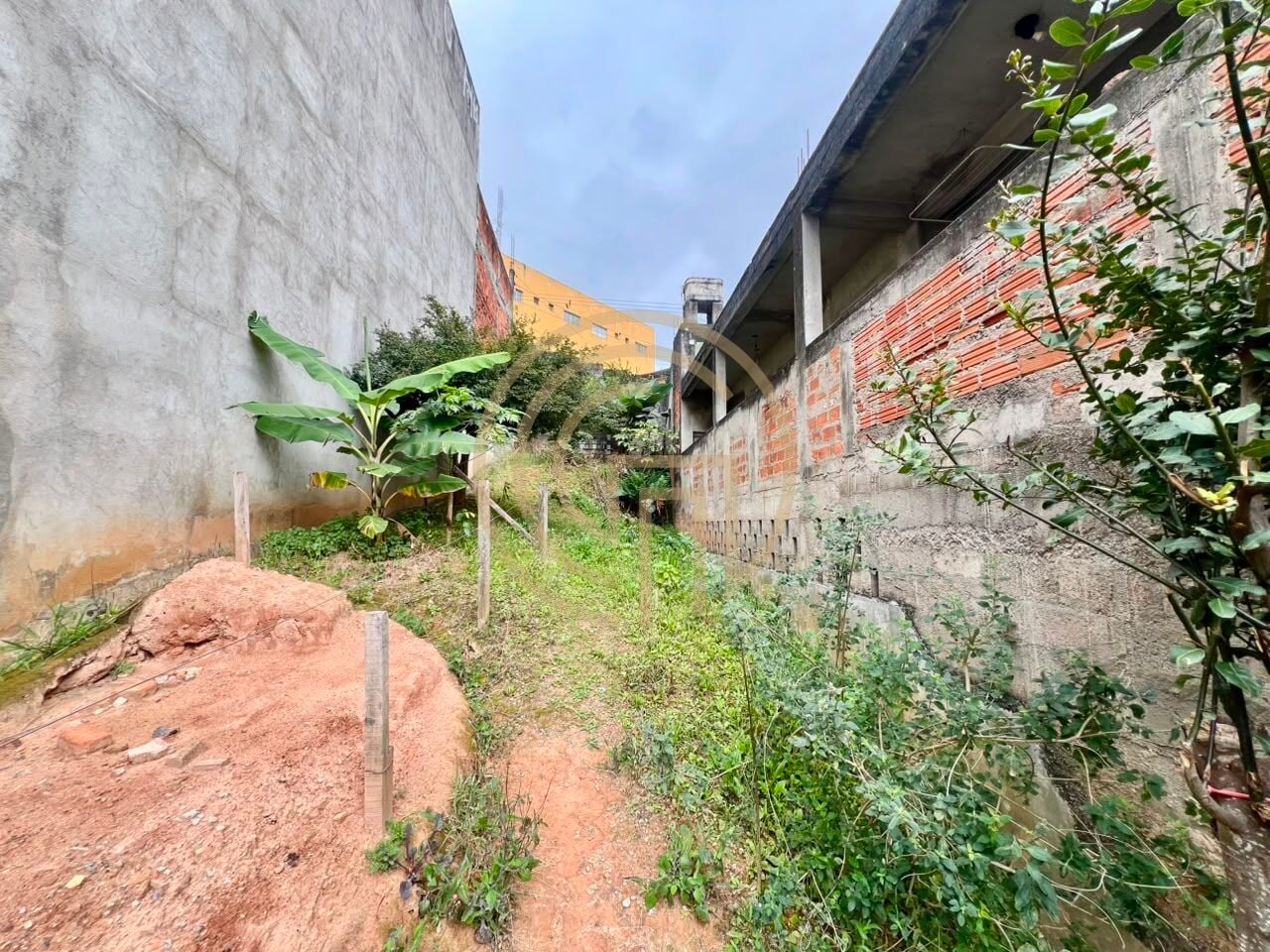 Casa, 3 quartos, 249 m² - Foto 28
