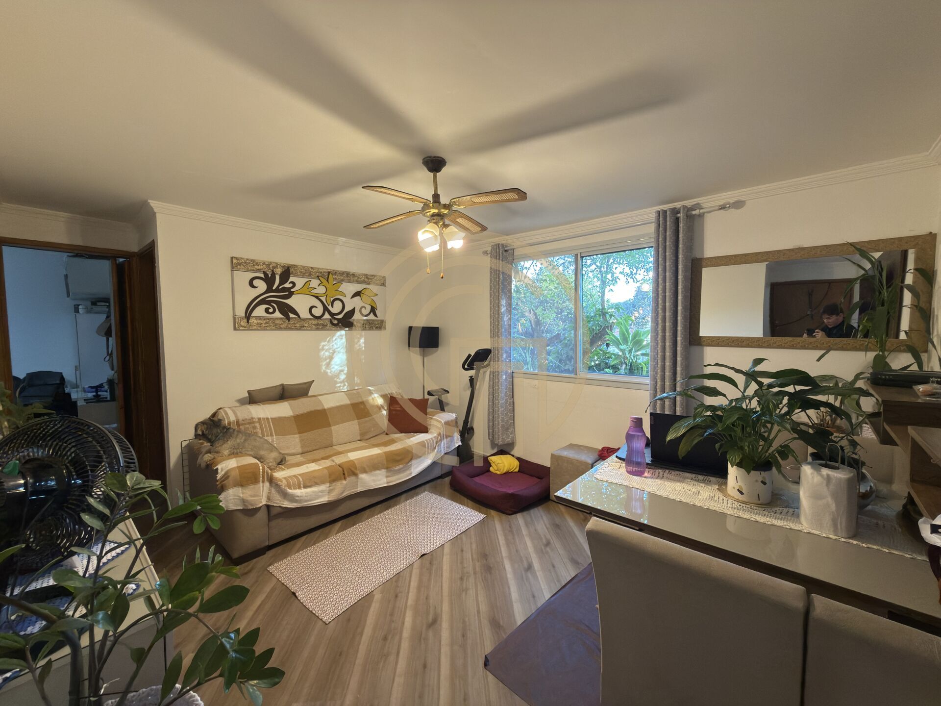 Apartamento, 2 quartos, 55 m² - Foto 5
