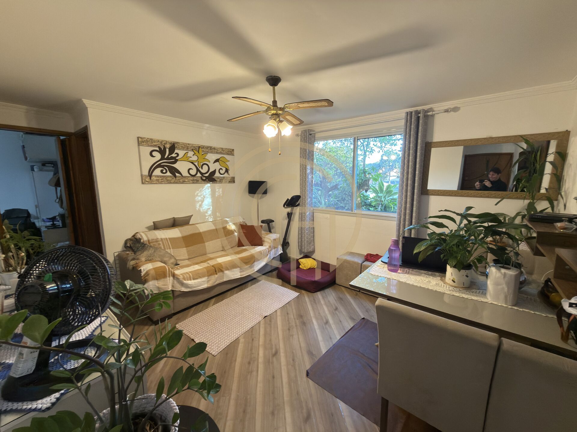 Apartamento, 2 quartos, 55 m² - Foto 3
