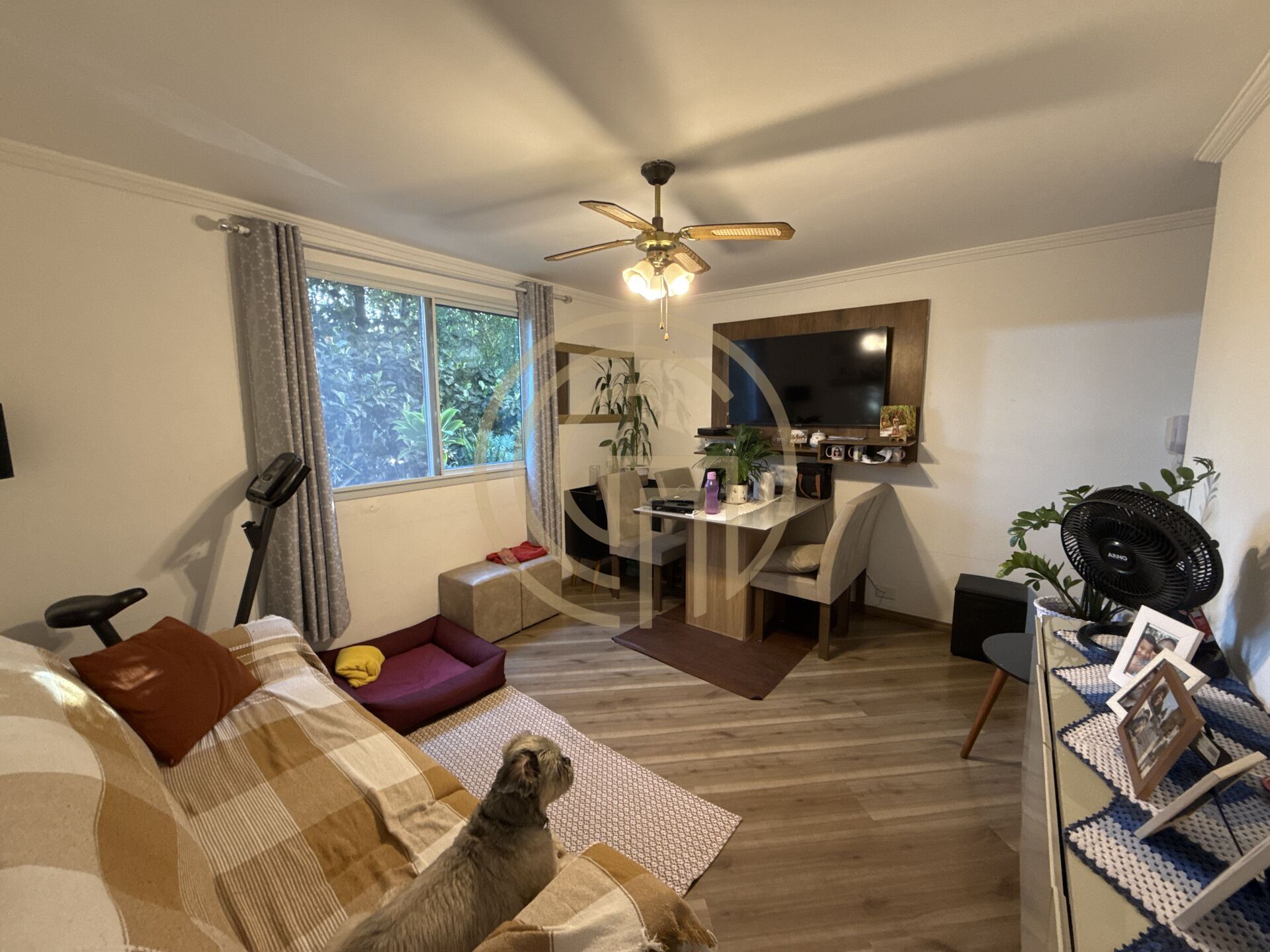 Apartamento, 2 quartos, 55 m² - Foto 1