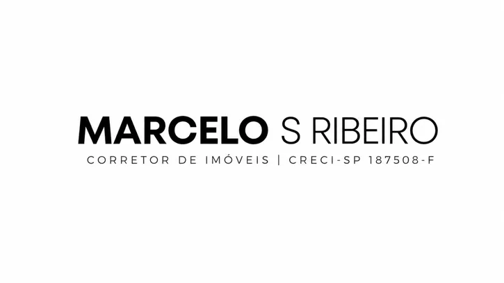 Marcelo S. Ribeiro