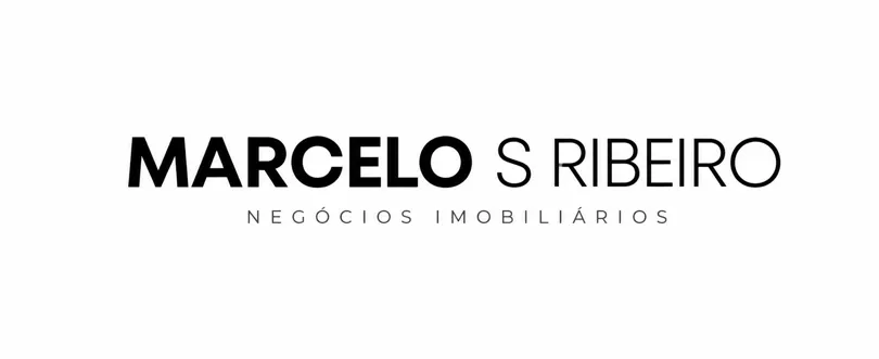 Marcelo S. Ribeiro