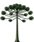 Logo da imobilária