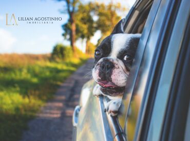 Onda do Pet Friendly no mercado imobiliário.