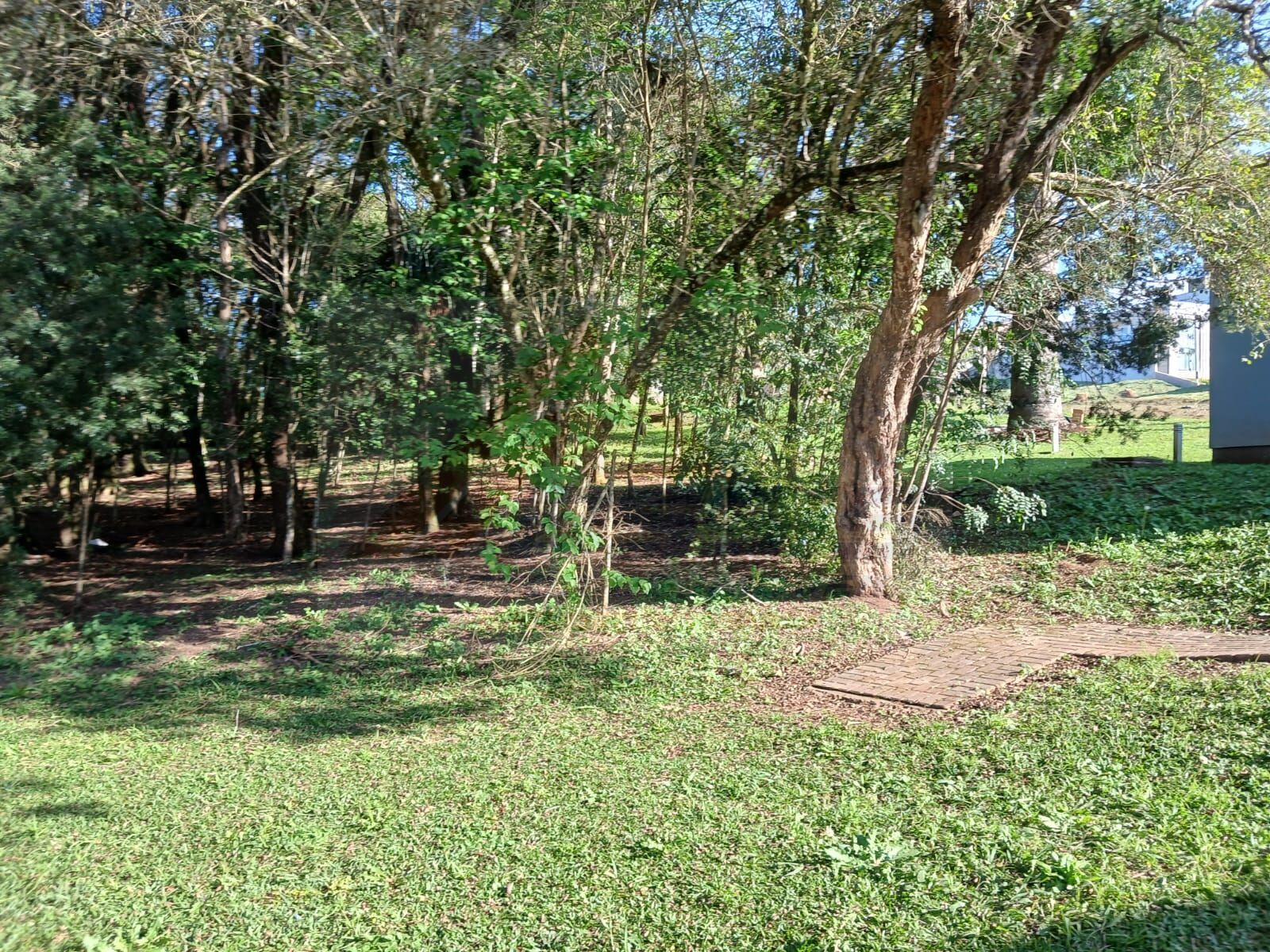 Casa à venda com 2 quartos, 1 suíte, 2 vagas e 90m² no Rincão, Colombo (PR) — foto 14 de 14