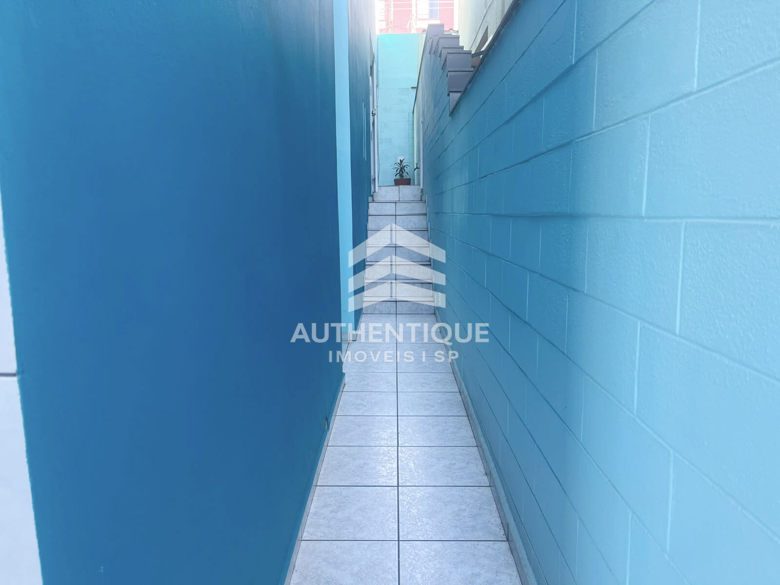 Casa, 3 quartos, 237 m² - Foto 16