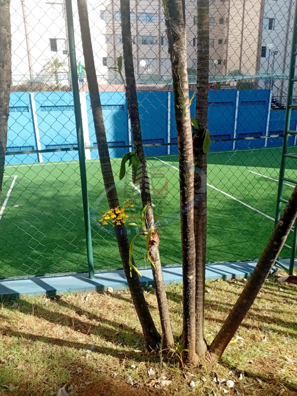 Apartamento, 3 quartos, 65 m² - Foto 15