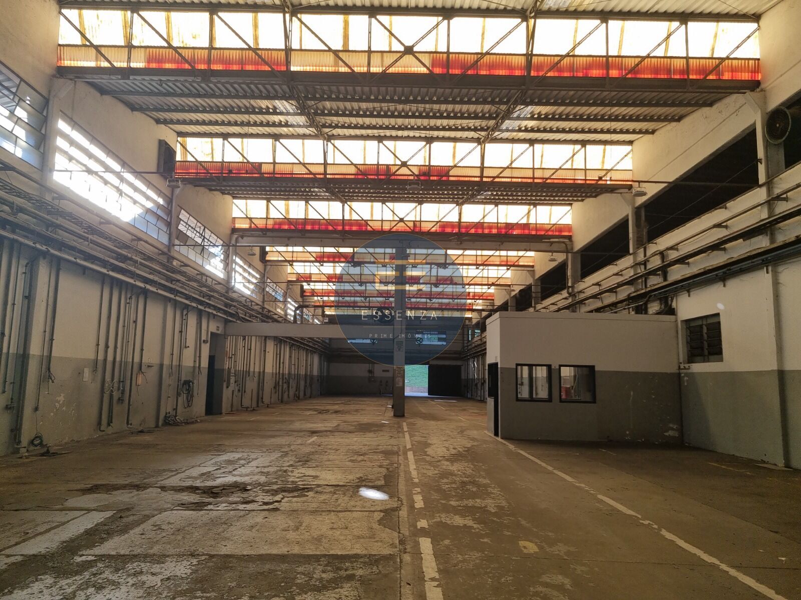 Foto 8
