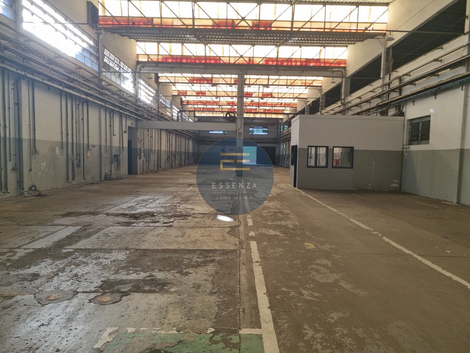 Foto 7