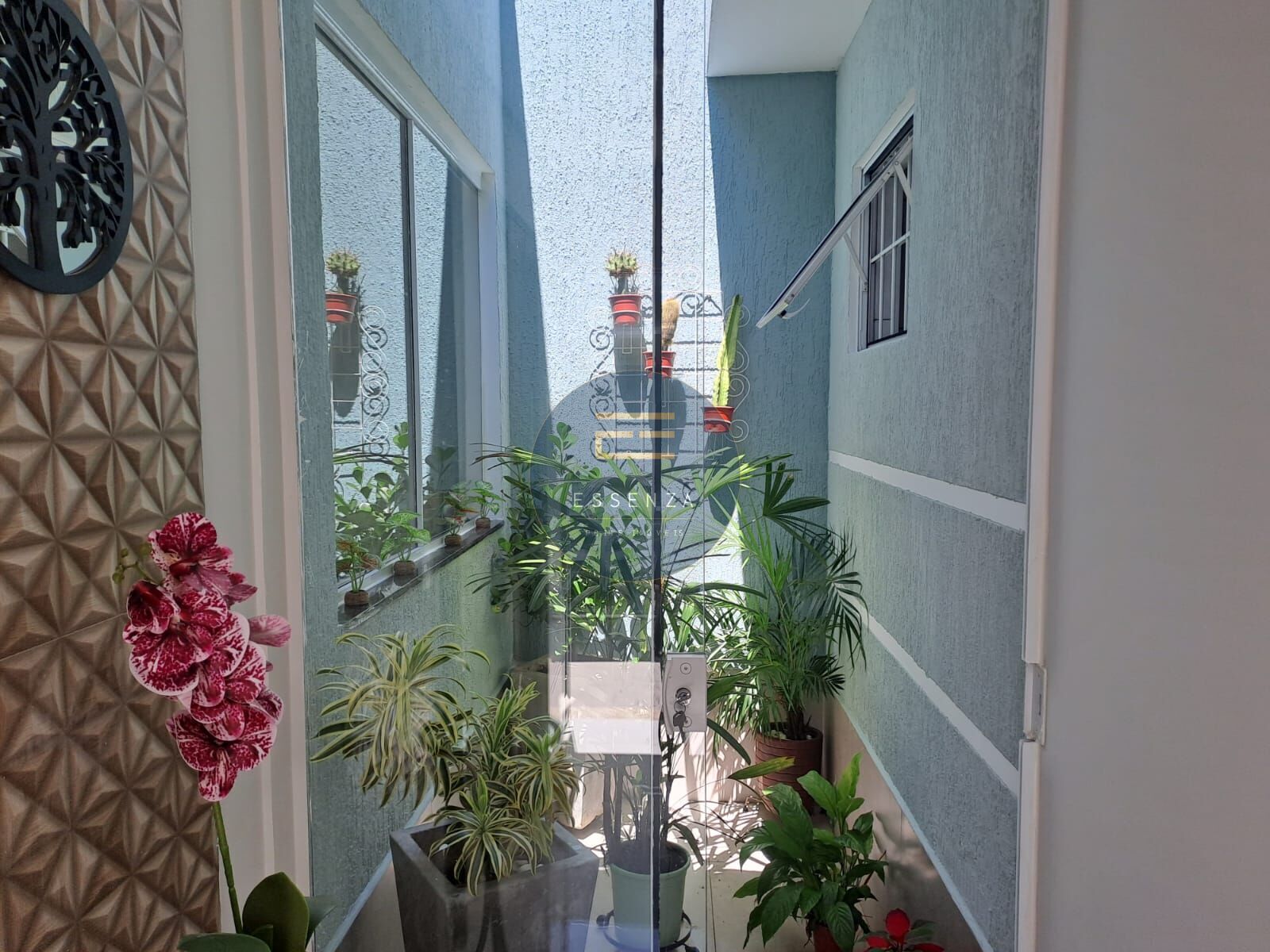Foto 7