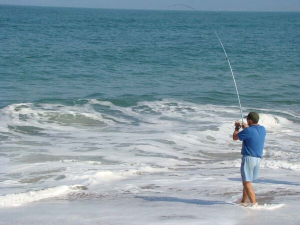 Qual é a Economia de Balneário Gaivota? Turismo, Imóveis, Pesca e Agricultura em Crescimento