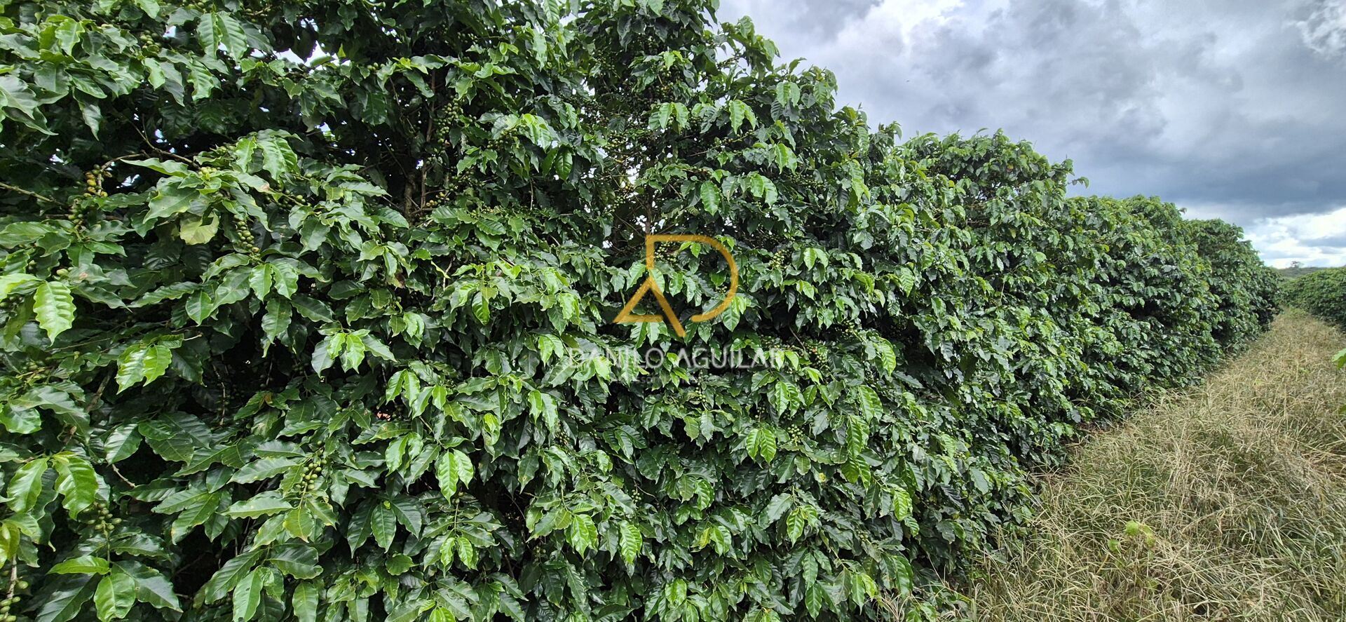Imagem principal do imóvel