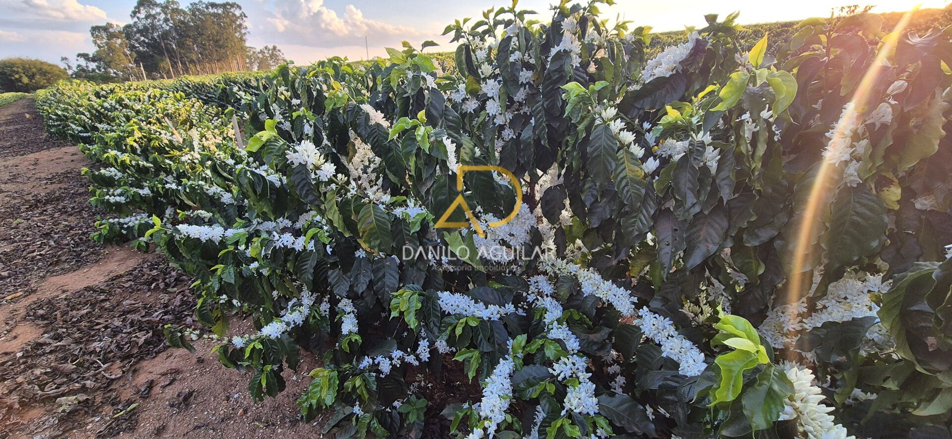 Imagem principal do imóvel