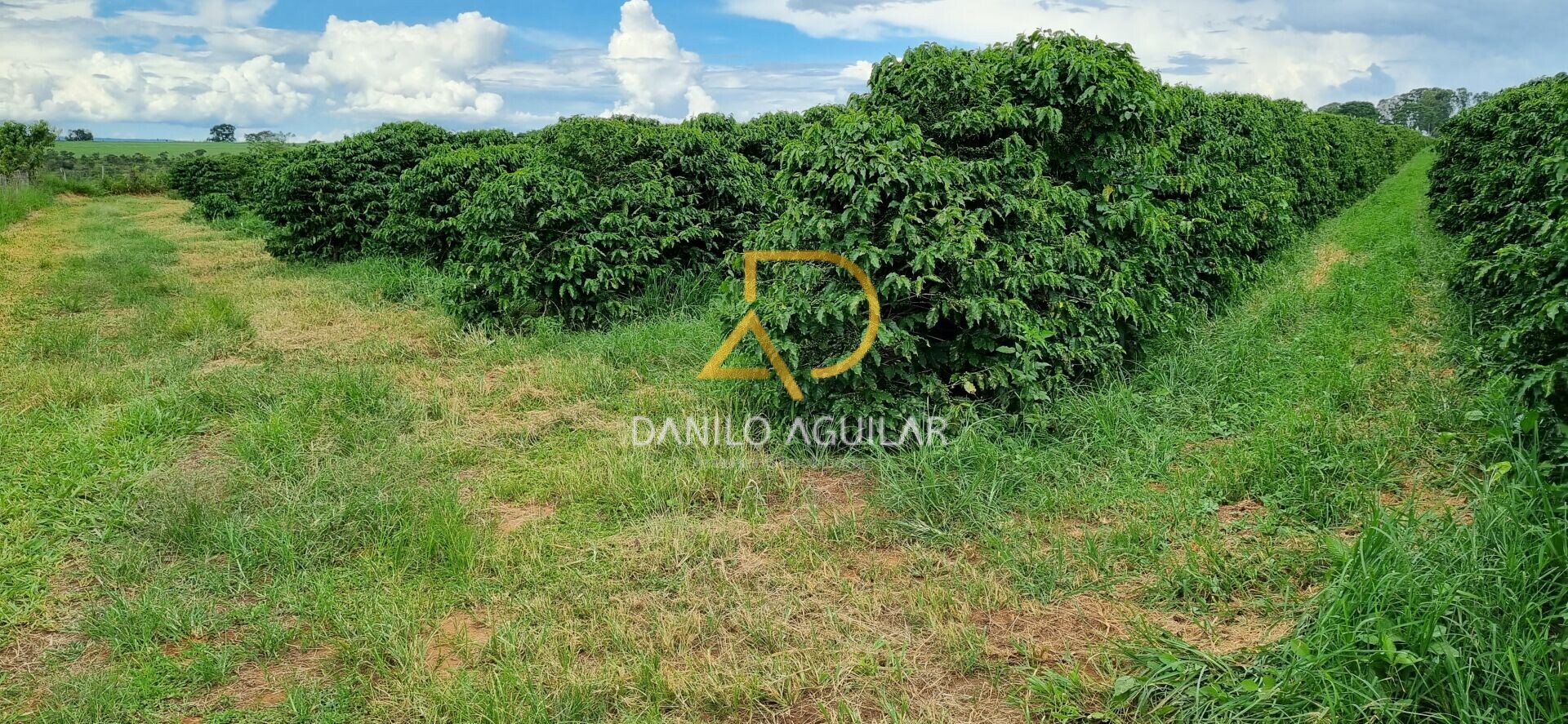 Imagem principal do imóvel