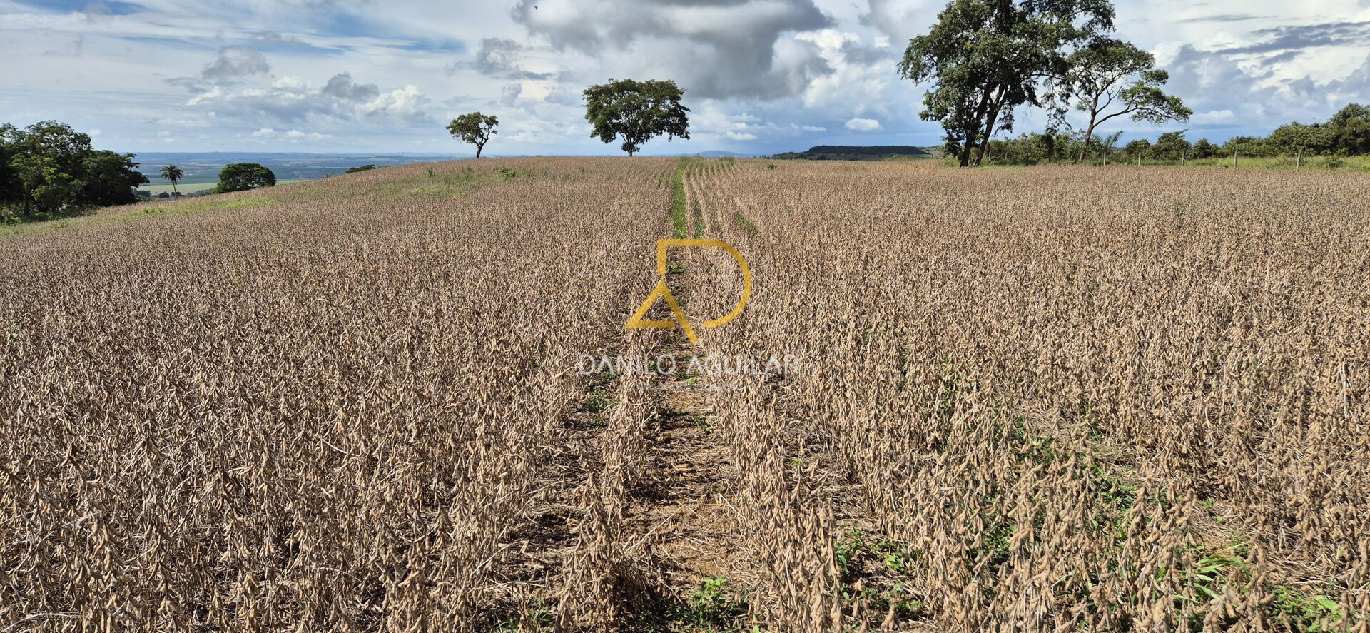 Imagem principal do imóvel