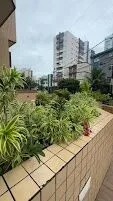 Apartamento com 1 quarto, 55 m², com vista para o mar, à venda no Caiçara, Praia Grande