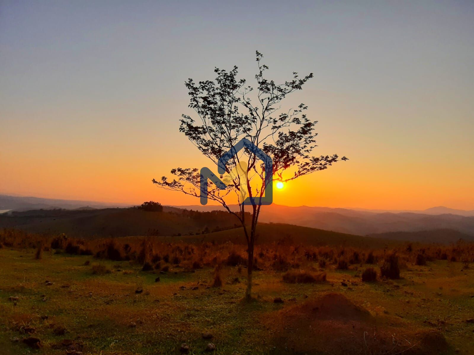 Terreno, 2 hectares - Foto 8