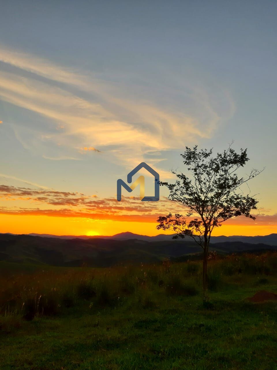 Terreno, 2 hectares - Foto 9