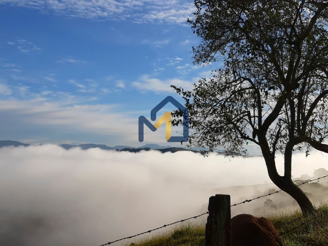Terreno, 2 hectares - Foto 4